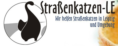 Straßenkatzen Leipzig